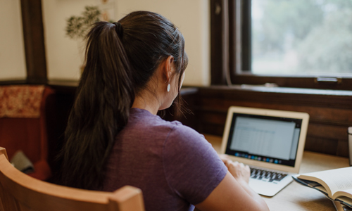 Girl at Computer