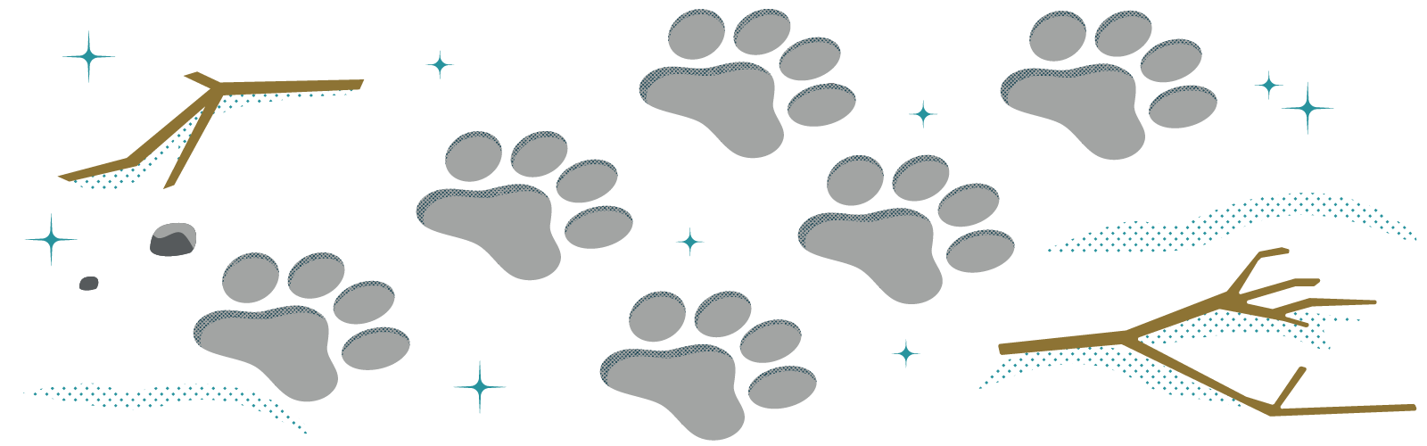 Graphic of paw prints in the snow