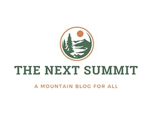 The Next Summit LLC logo.