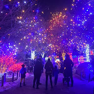 Family walking in the dark through a pathway of trees strung with colorful lights.