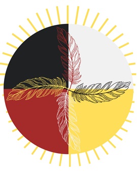 NASO logo